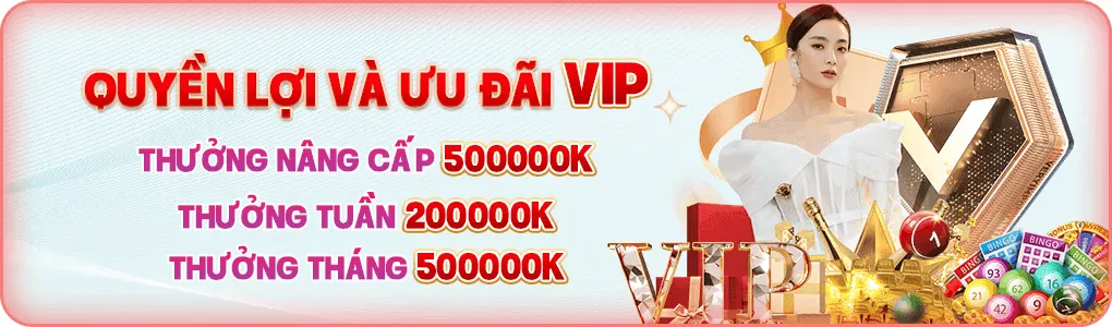 Quyền lợi và ưu đãi vip tại 888to22